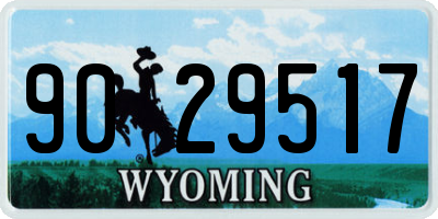 WY license plate 9029517
