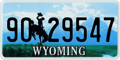 WY license plate 9029547