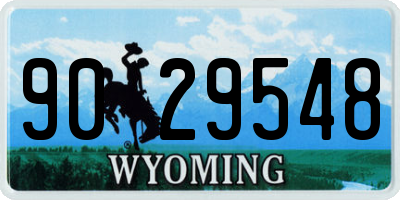 WY license plate 9029548
