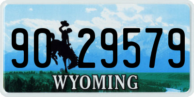WY license plate 9029579