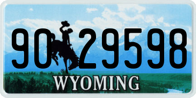 WY license plate 9029598