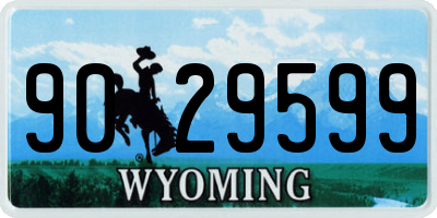 WY license plate 9029599