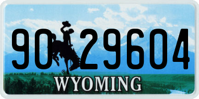 WY license plate 9029604