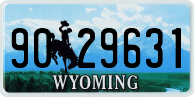 WY license plate 9029631