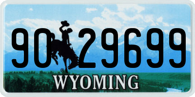 WY license plate 9029699