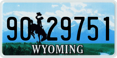 WY license plate 9029751