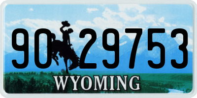 WY license plate 9029753