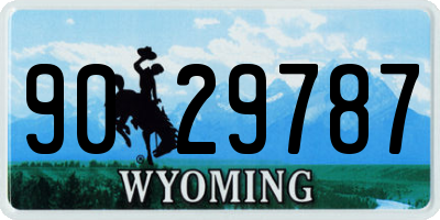 WY license plate 9029787