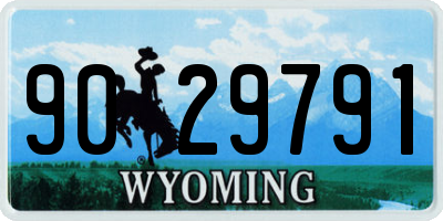 WY license plate 9029791