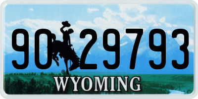 WY license plate 9029793