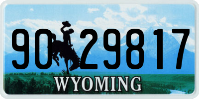 WY license plate 9029817