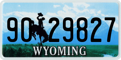 WY license plate 9029827