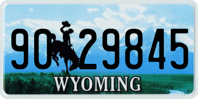 WY license plate 9029845