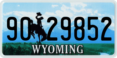 WY license plate 9029852