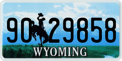 WY license plate 9029858