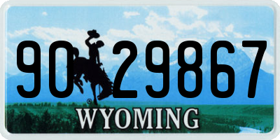 WY license plate 9029867