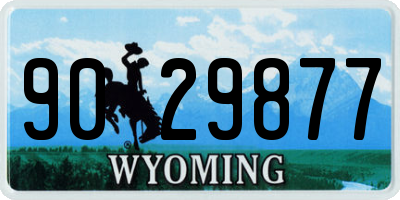 WY license plate 9029877