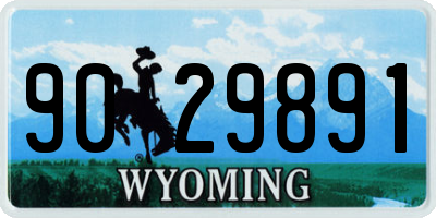 WY license plate 9029891