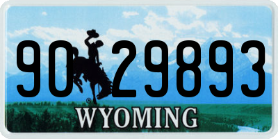 WY license plate 9029893