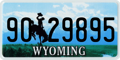 WY license plate 9029895