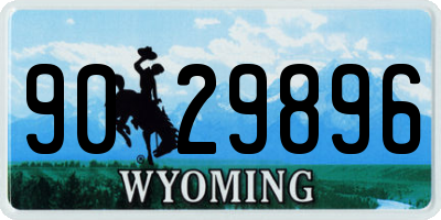 WY license plate 9029896