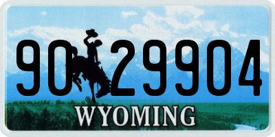 WY license plate 9029904