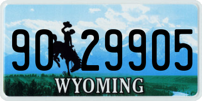 WY license plate 9029905