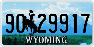 WY license plate 9029917