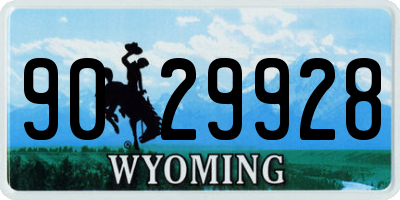 WY license plate 9029928
