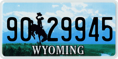 WY license plate 9029945