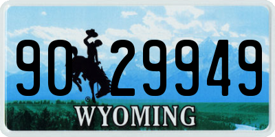 WY license plate 9029949