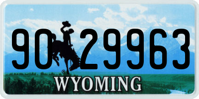WY license plate 9029963