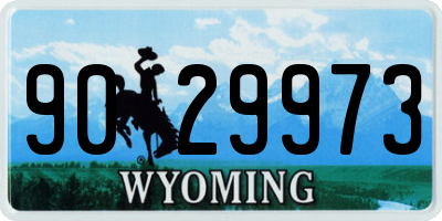 WY license plate 9029973
