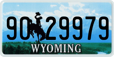 WY license plate 9029979