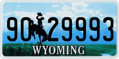WY license plate 9029993