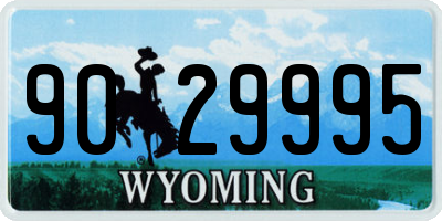 WY license plate 9029995