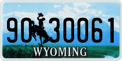 WY license plate 9030061