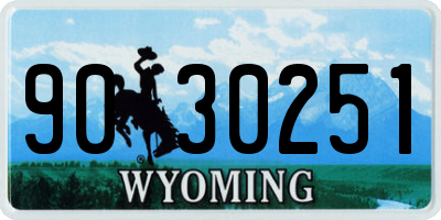 WY license plate 9030251