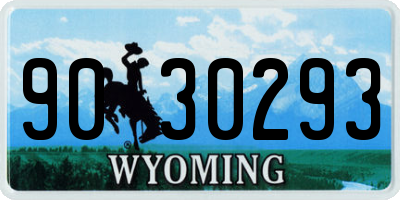 WY license plate 9030293