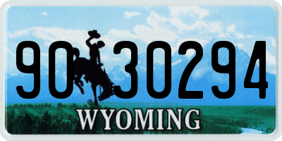 WY license plate 9030294
