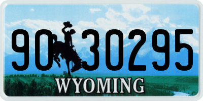 WY license plate 9030295