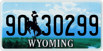 WY license plate 9030299