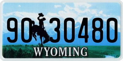 WY license plate 9030480