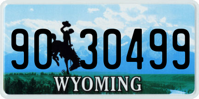 WY license plate 9030499