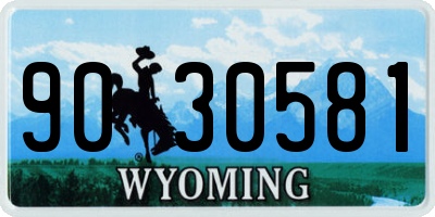 WY license plate 9030581