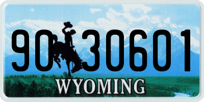 WY license plate 9030601