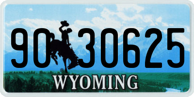 WY license plate 9030625