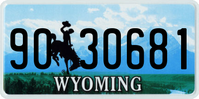 WY license plate 9030681
