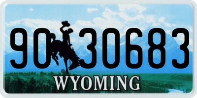 WY license plate 9030683
