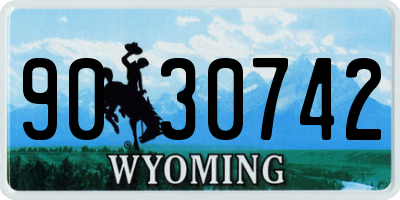 WY license plate 9030742